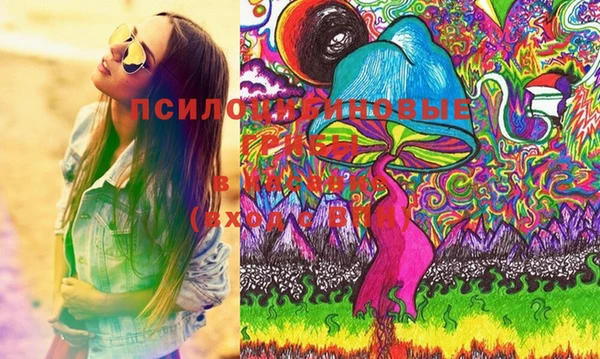 соль курить ск Алзамай